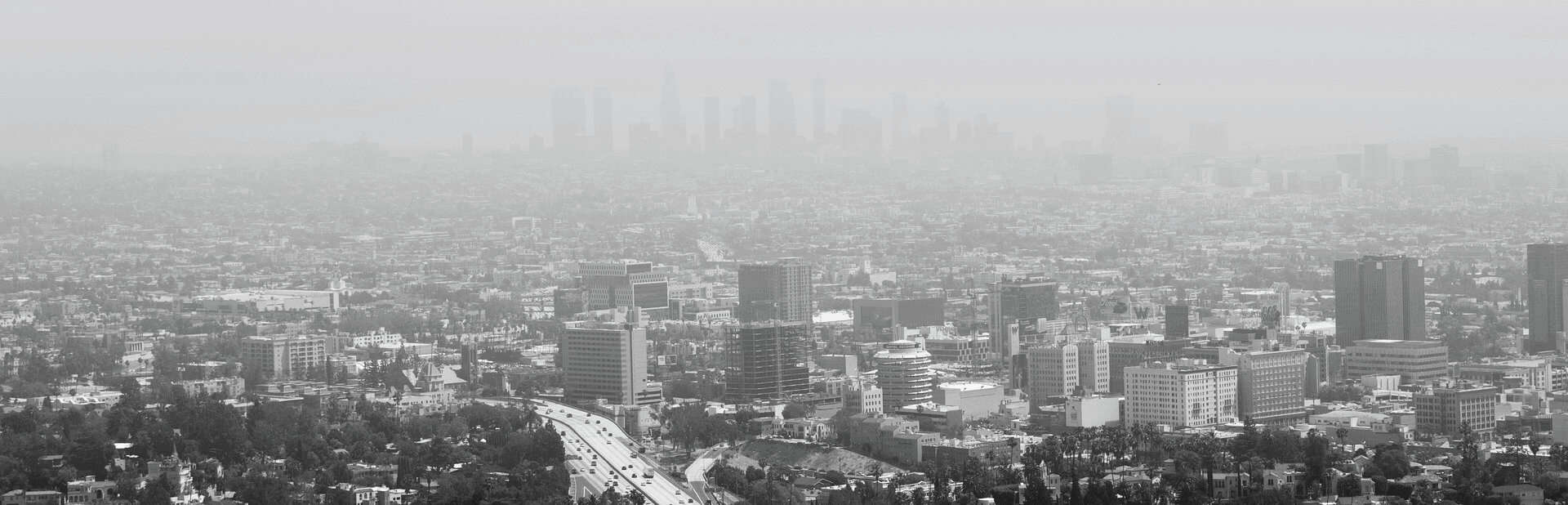 Los Angeles Black and White